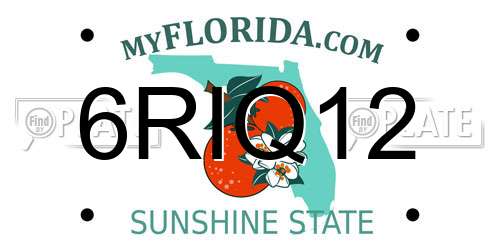 6RIQ12 Florida License Plate