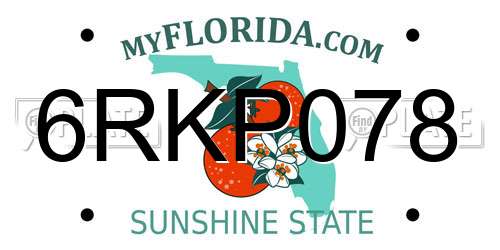 6RKP078 Florida License Plate