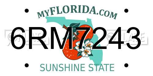 6RM7243 Florida License Plate