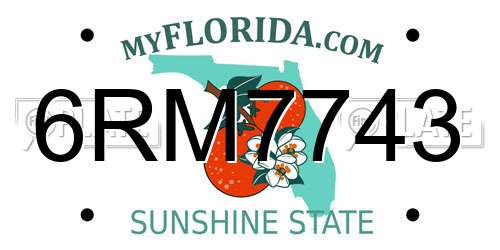 6RM7743 Florida License Plate