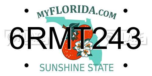 6RMT243 Florida License Plate