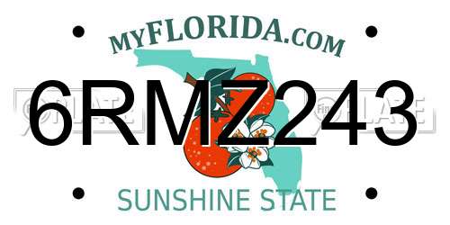 6RMZ243 Florida License Plate