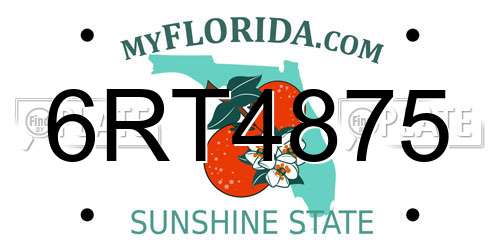 6RT4875 Florida License Plate
