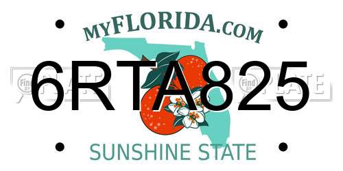 6RTA825 Florida License Plate