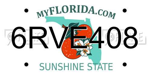 6RVE408 Florida License Plate