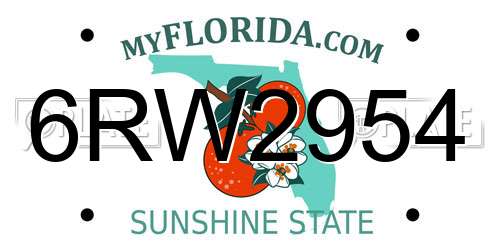 6RW2954 Florida License Plate