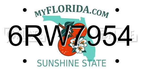 6RW7954 Florida License Plate