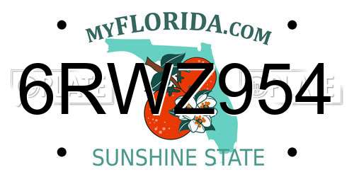6RWZ954 Florida License Plate