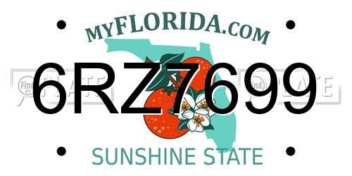 6RZ7699 Florida License Plate