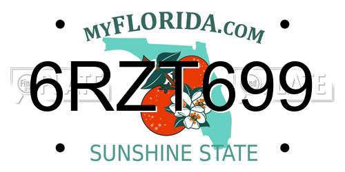 6RZT699 Florida License Plate
