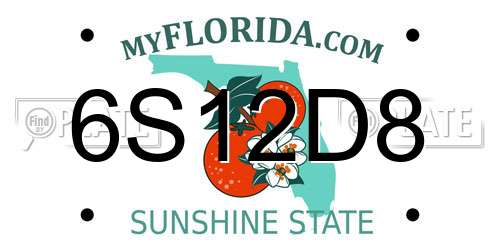 6S12D8 Florida License Plate