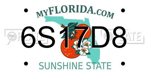 6S17D8 Florida License Plate