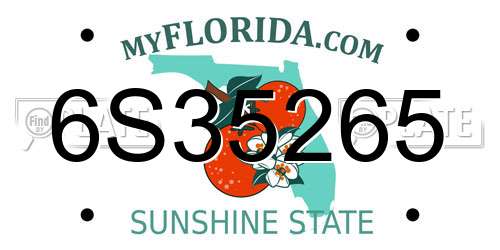 6S35265 Florida License Plate