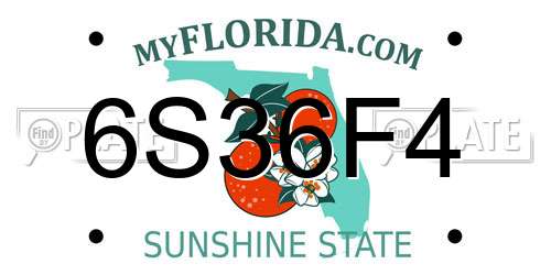 6S36F4 Florida License Plate