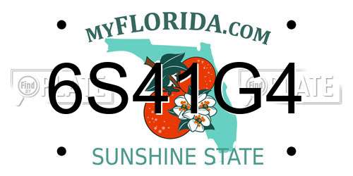 6S41G4 Florida License Plate