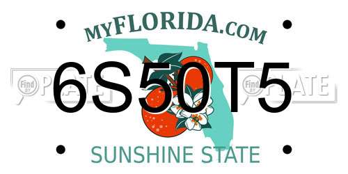 6S50T5 Florida License Plate