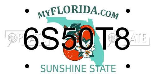6S50T8 Florida License Plate