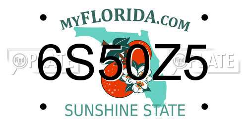 6S50Z5 Florida License Plate