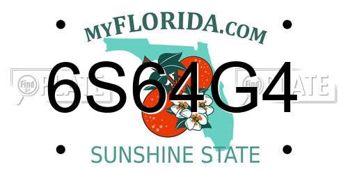 6S64G4 Florida License Plate