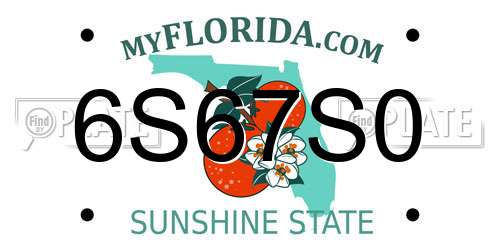 6S67S0 Florida License Plate