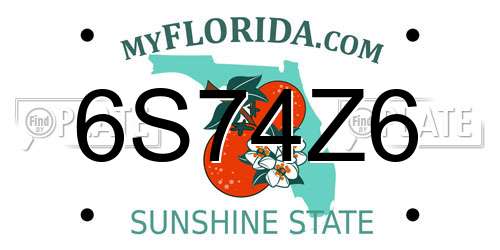 6S74Z6 Florida License Plate