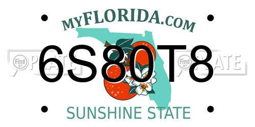 6S80T8 Florida License Plate