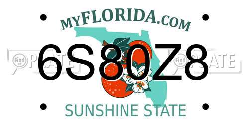 6S80Z8 Florida License Plate