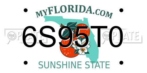 6S95T0 Florida License Plate
