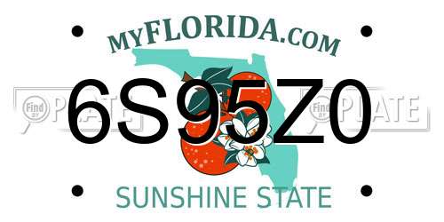 6S95Z0 Florida License Plate