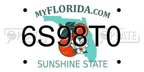 6S98T0 Florida License Plate