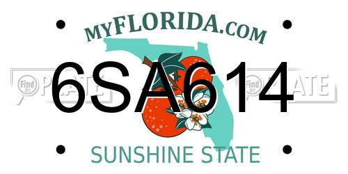 6SA614 Florida License Plate