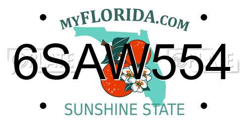 6SAW554 Florida License Plate