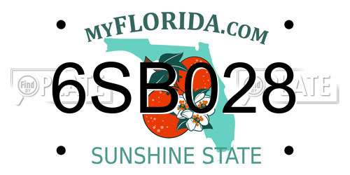 6SB028 Florida License Plate