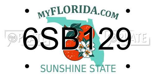 6SB129 Florida License Plate