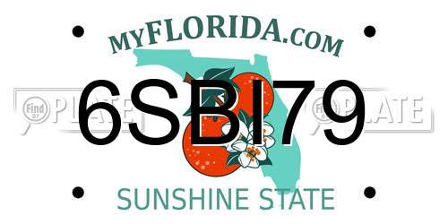 6SBI79 Florida License Plate