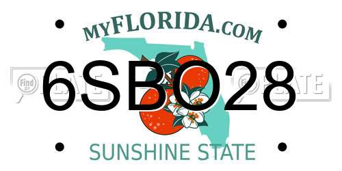 6SBO28 Florida License Plate