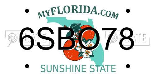 6SBO78 Florida License Plate