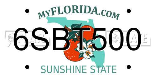 6SBT500 Florida License Plate