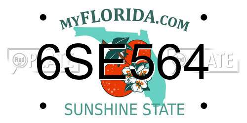 6SE564 Florida License Plate