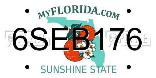 6SEB176 Florida License Plate