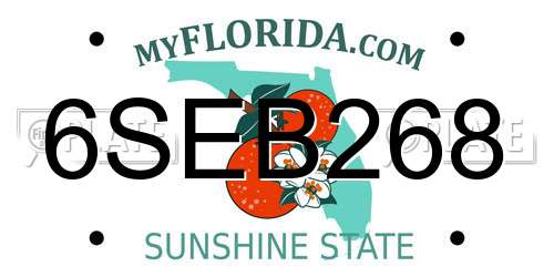 6SEB268 Florida License Plate