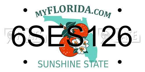 6SES126 Florida License Plate