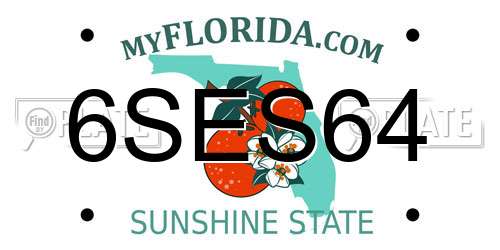 6SES64 Florida License Plate