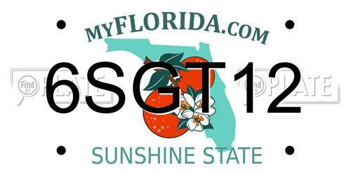6SGT12 Florida License Plate