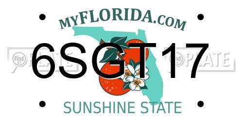 6SGT17 Florida License Plate