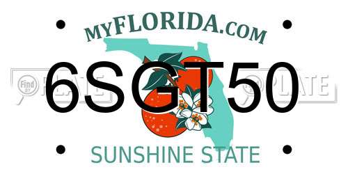 6SGT50 Florida License Plate
