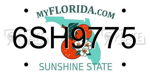 6SH9775 Florida License Plate