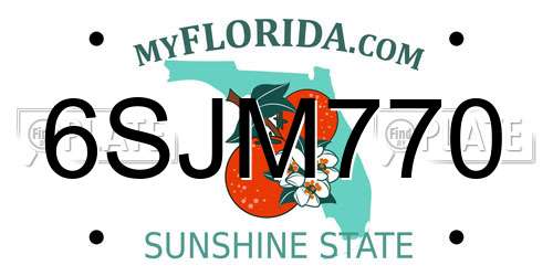 6SJM770 Florida License Plate