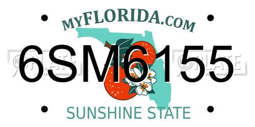 6SM6155 Florida License Plate