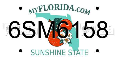 6SM6158 Florida License Plate